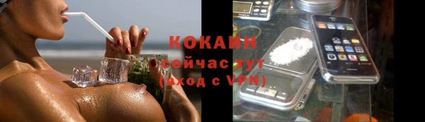 дживик Надым