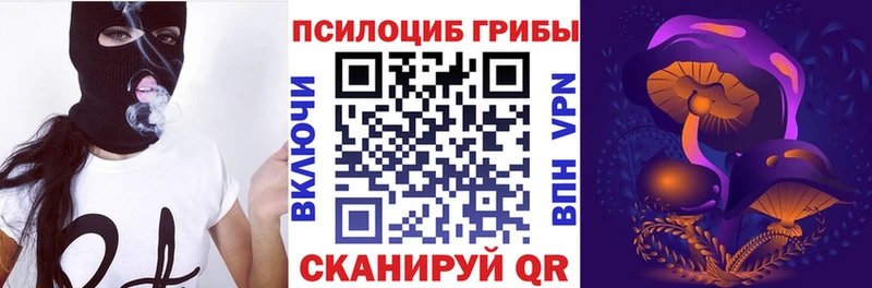 Псилоцибиновые грибы прущие грибы  сколько стоит  мега ТОР  Новотитаровская 